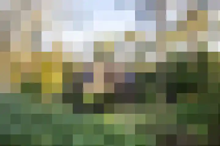 Bachlaan 9 Bilthoven thumbnail 35