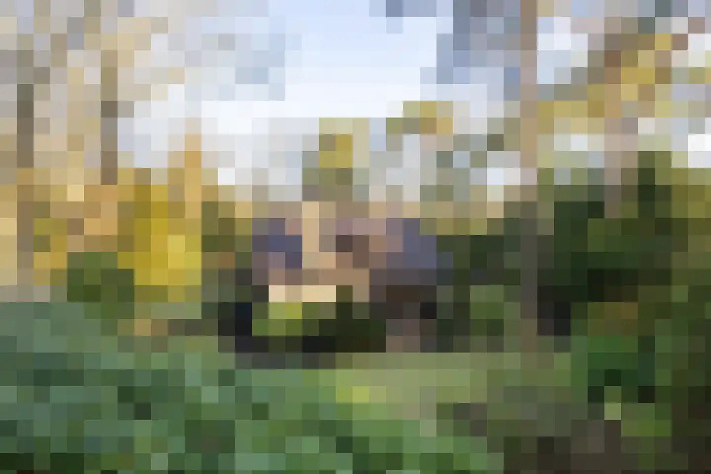 Bachlaan 9 Bilthoven thumbnail 35