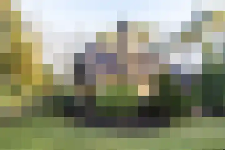 Bachlaan 9 Bilthoven thumbnail 36