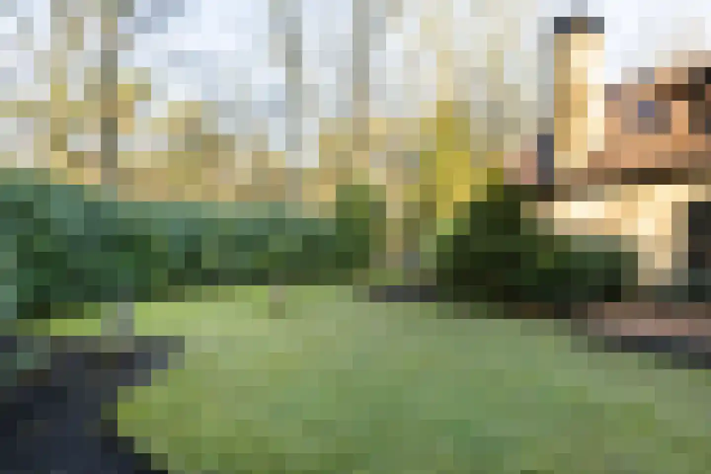 Bachlaan 9 Bilthoven thumbnail 39
