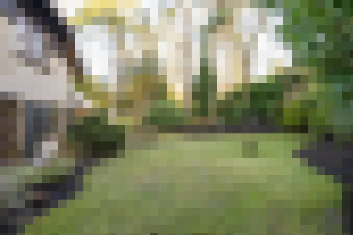 Bachlaan 9 Bilthoven thumbnail 40