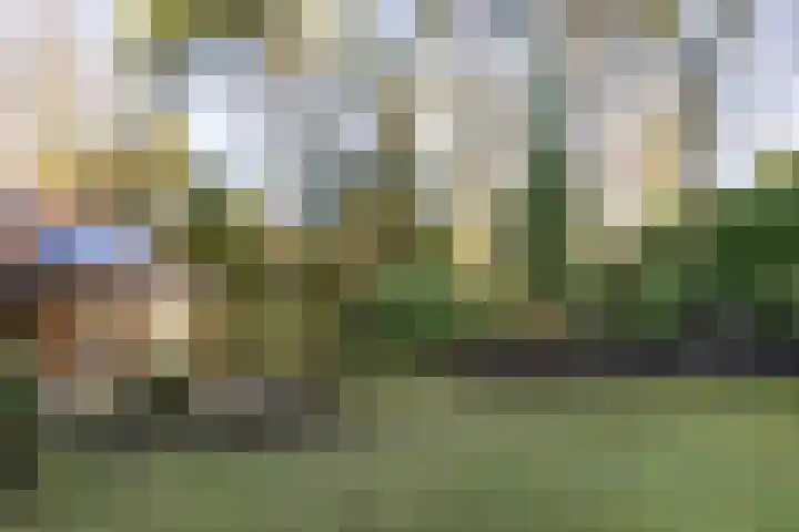 Bachlaan 9 Bilthoven thumbnail 41