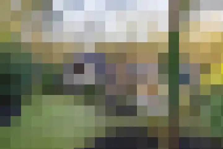 Bachlaan 9 Bilthoven thumbnail 42