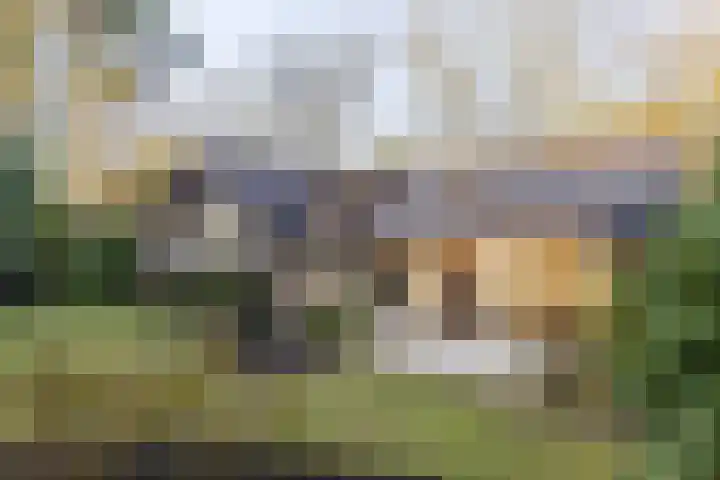 Bachlaan 9 Bilthoven thumbnail 43