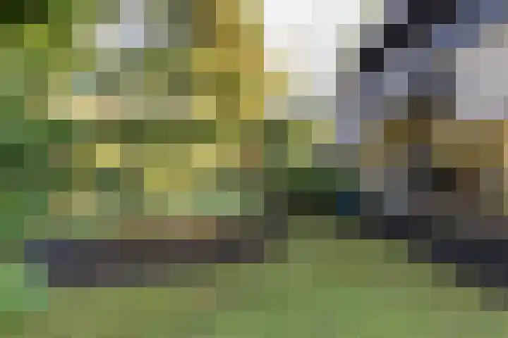 Bachlaan 9 Bilthoven thumbnail 46
