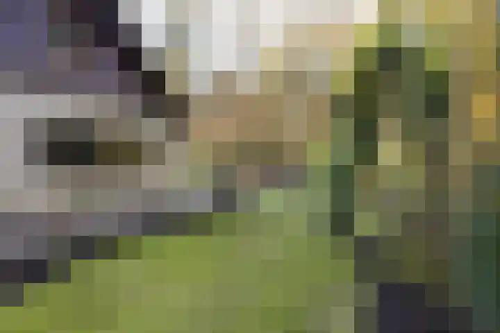 Bachlaan 9 Bilthoven thumbnail 47