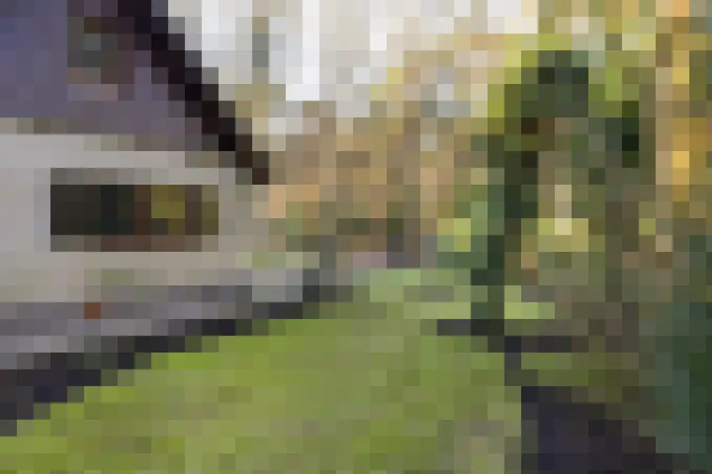 Bachlaan 9 Bilthoven thumbnail 47