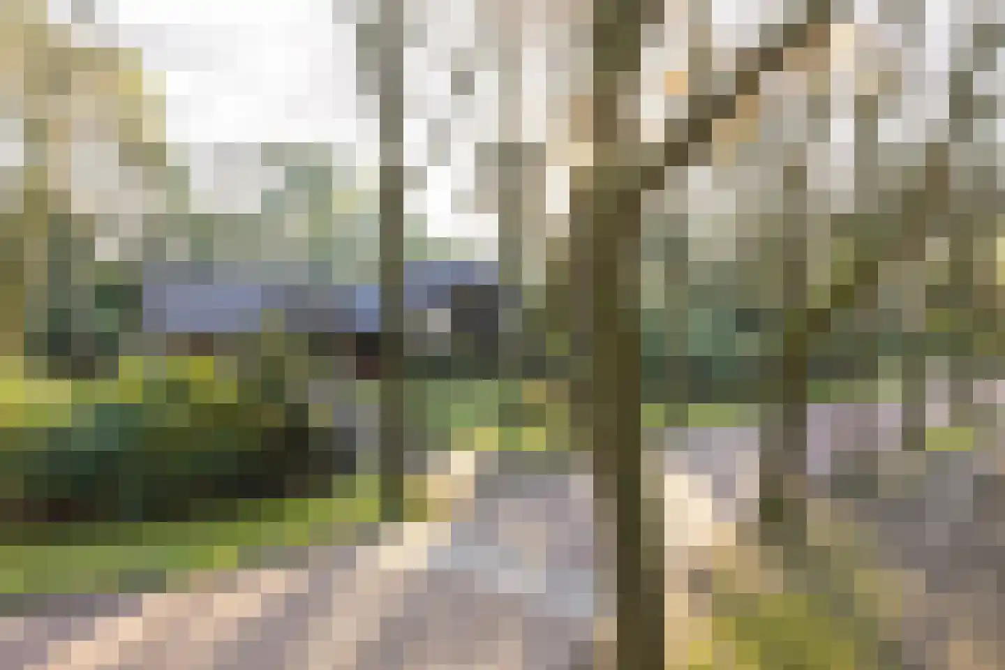 Bachlaan 9 Bilthoven thumbnail 50