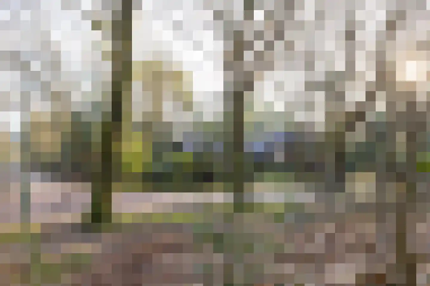 Bachlaan 9 Bilthoven thumbnail 51