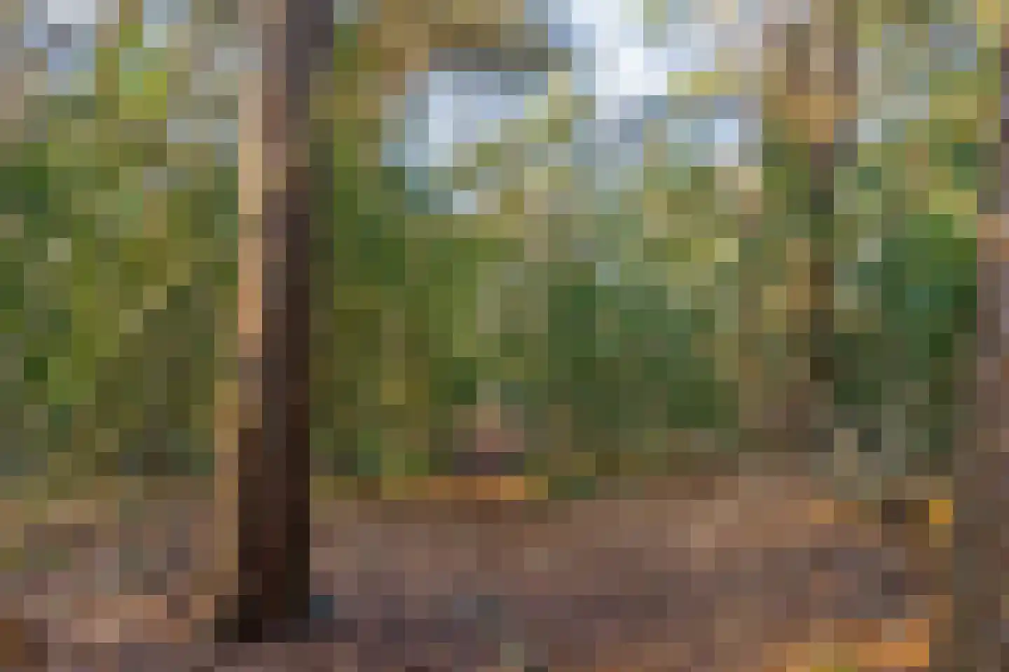 Bachlaan 9 Bilthoven thumbnail 52