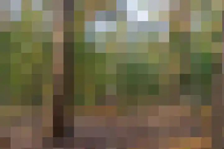 Bachlaan 9 Bilthoven thumbnail 52