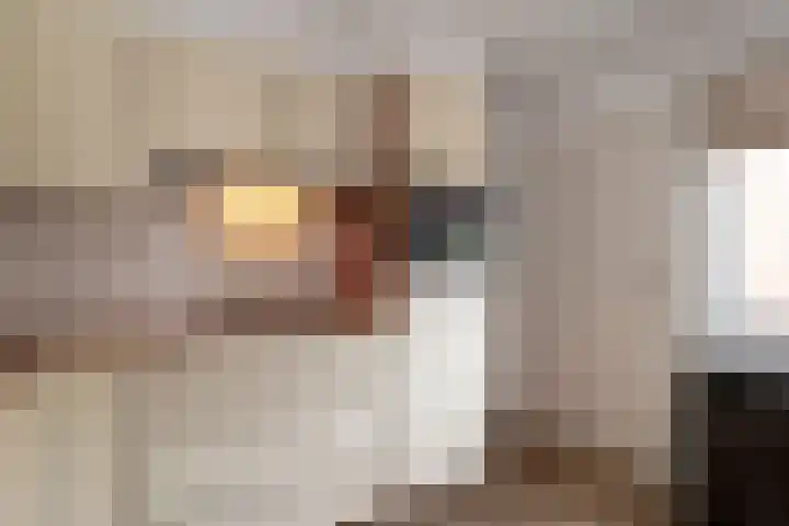 Bachlaan 91 Nijverdal thumbnail 11