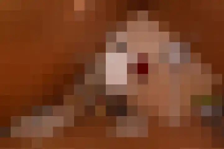Bachlaan 91 Nijverdal thumbnail 28