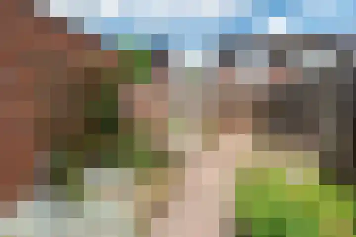 Bachlaan 91 Nijverdal thumbnail 31