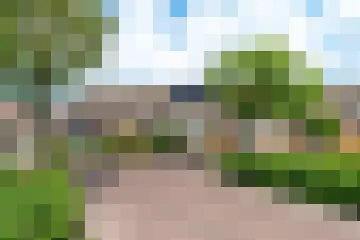 Bachlaan 91 Nijverdal thumbnail 36