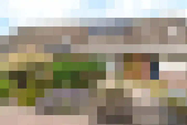 Bachlaan 91 Nijverdal thumbnail 37