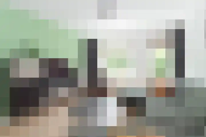 Bachlaan 91 Nijverdal thumbnail 4