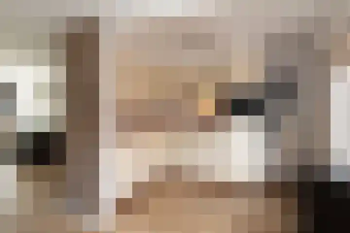 Bachlaan 91 Nijverdal thumbnail 9