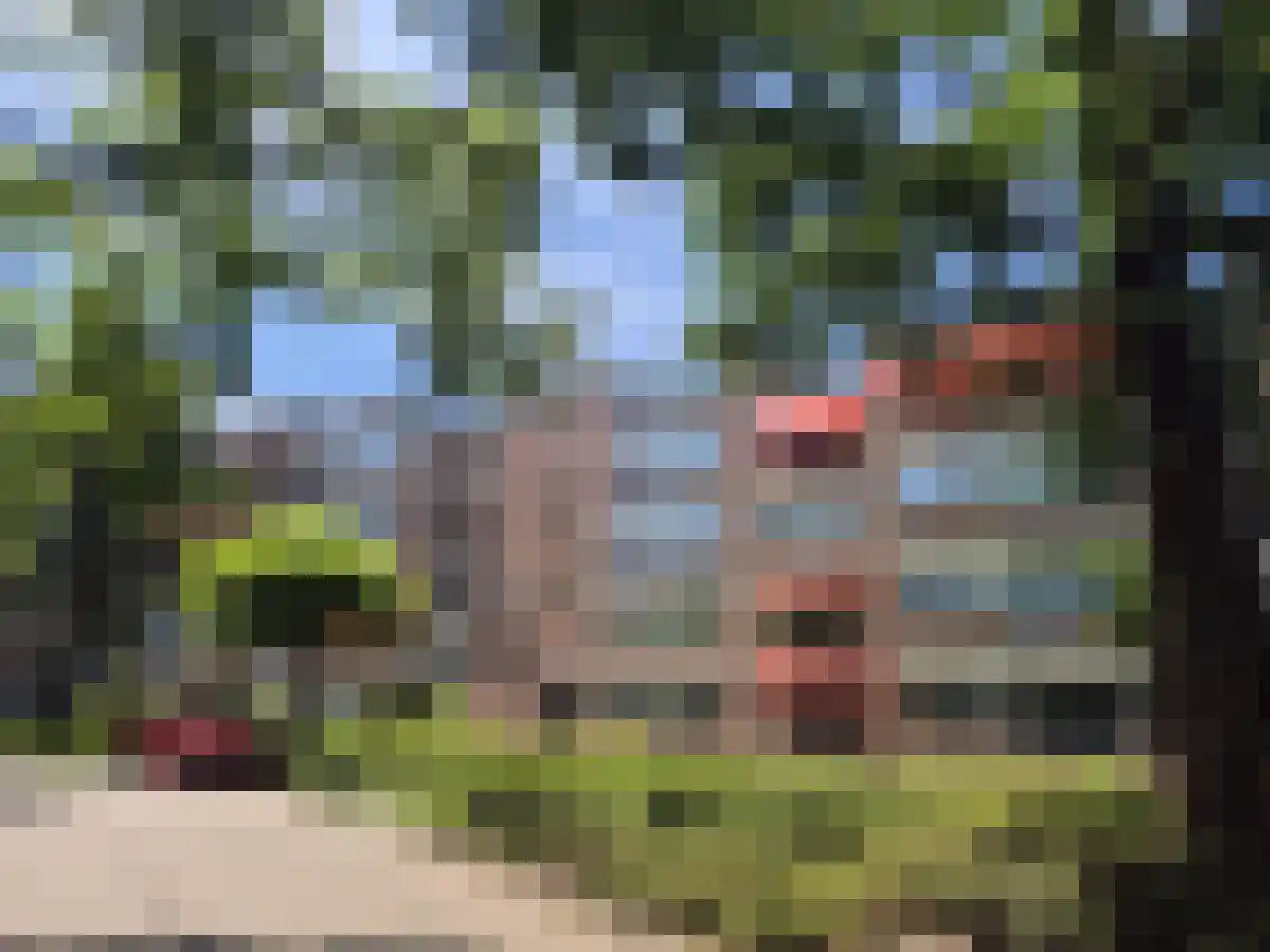 Bachlaan Zeist