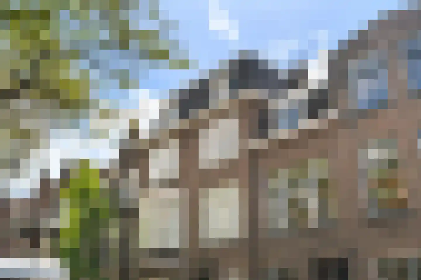 Bachmanstraat 8 N Den Haag thumbnail 11