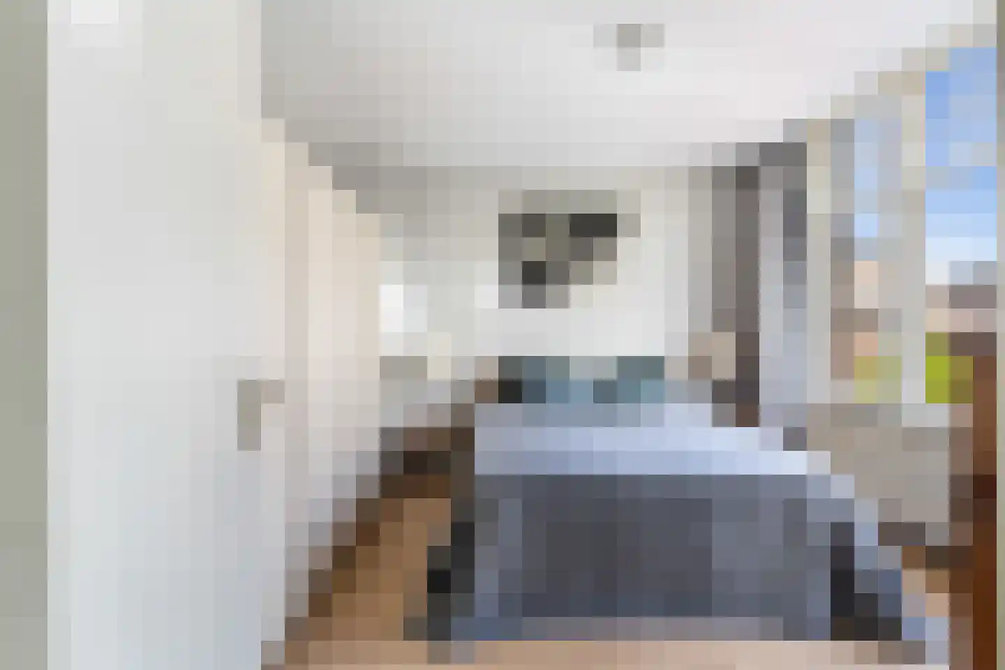 Bachmanstraat 8 N Den Haag thumbnail 24