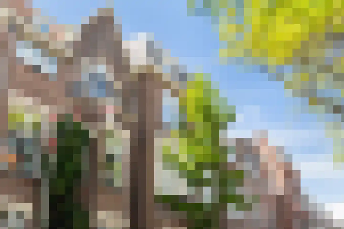 Bachmanstraat 8 R Den Haag thumbnail 10