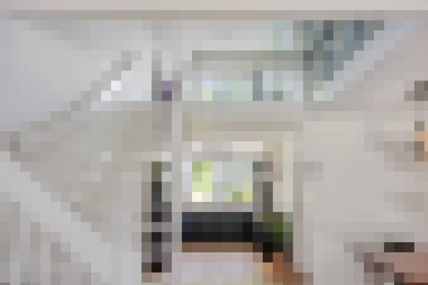 Bachplaats 15 Bergschenhoek thumbnail 13