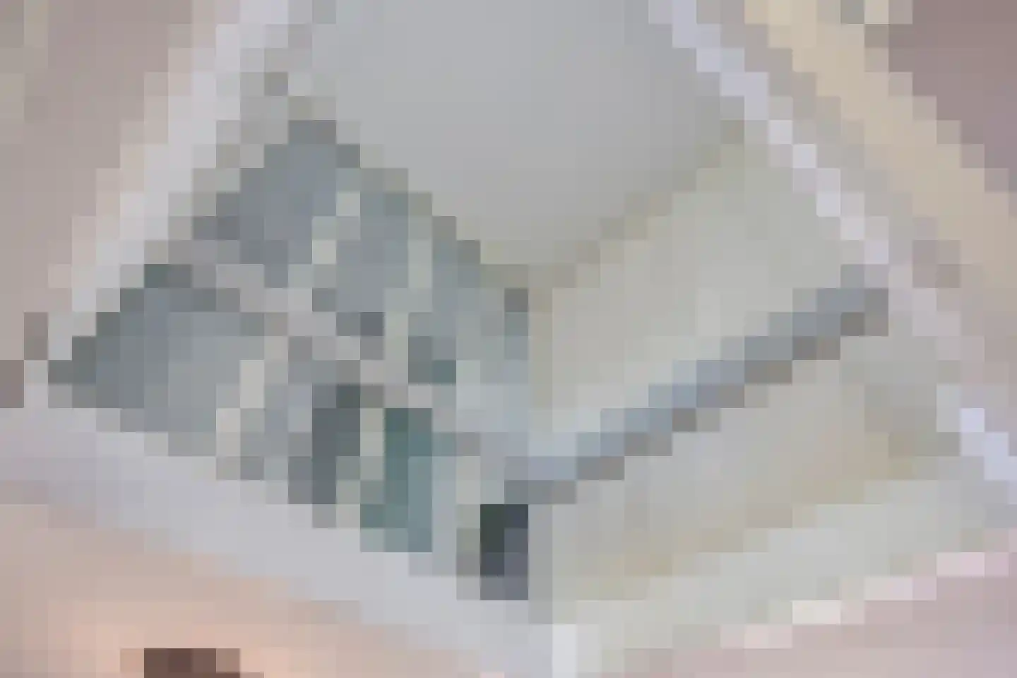 Bachplaats 15 Bergschenhoek thumbnail 14