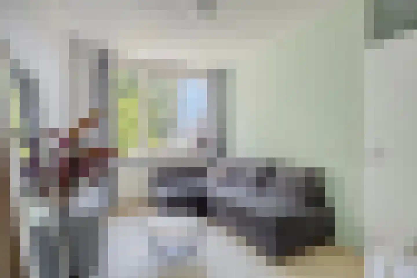 Bachplaats 15 Bergschenhoek thumbnail 16