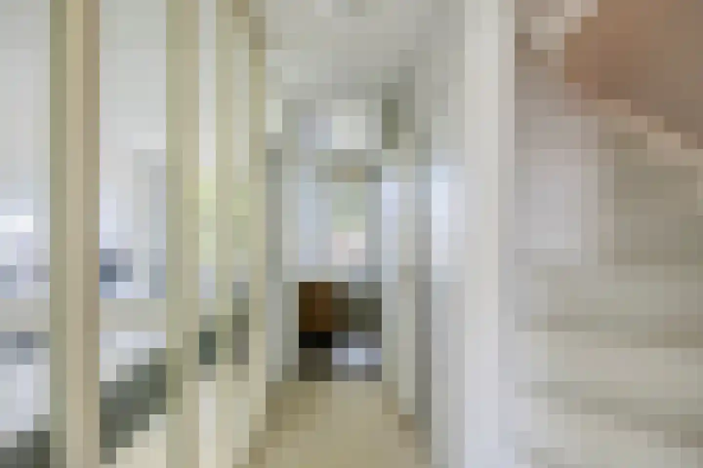 Bachplaats 15 Bergschenhoek thumbnail 17
