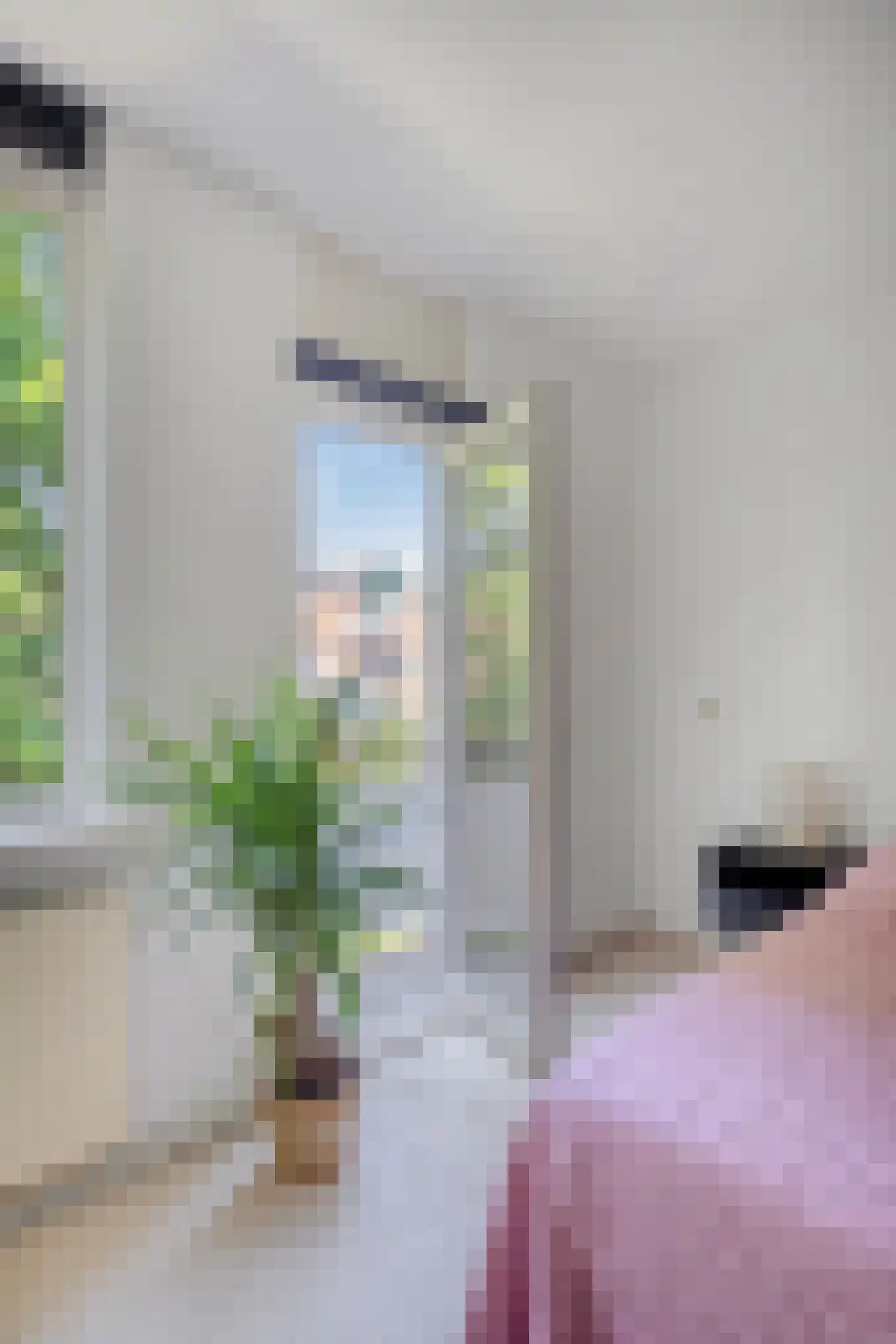 Bachplaats 15 Bergschenhoek thumbnail 19