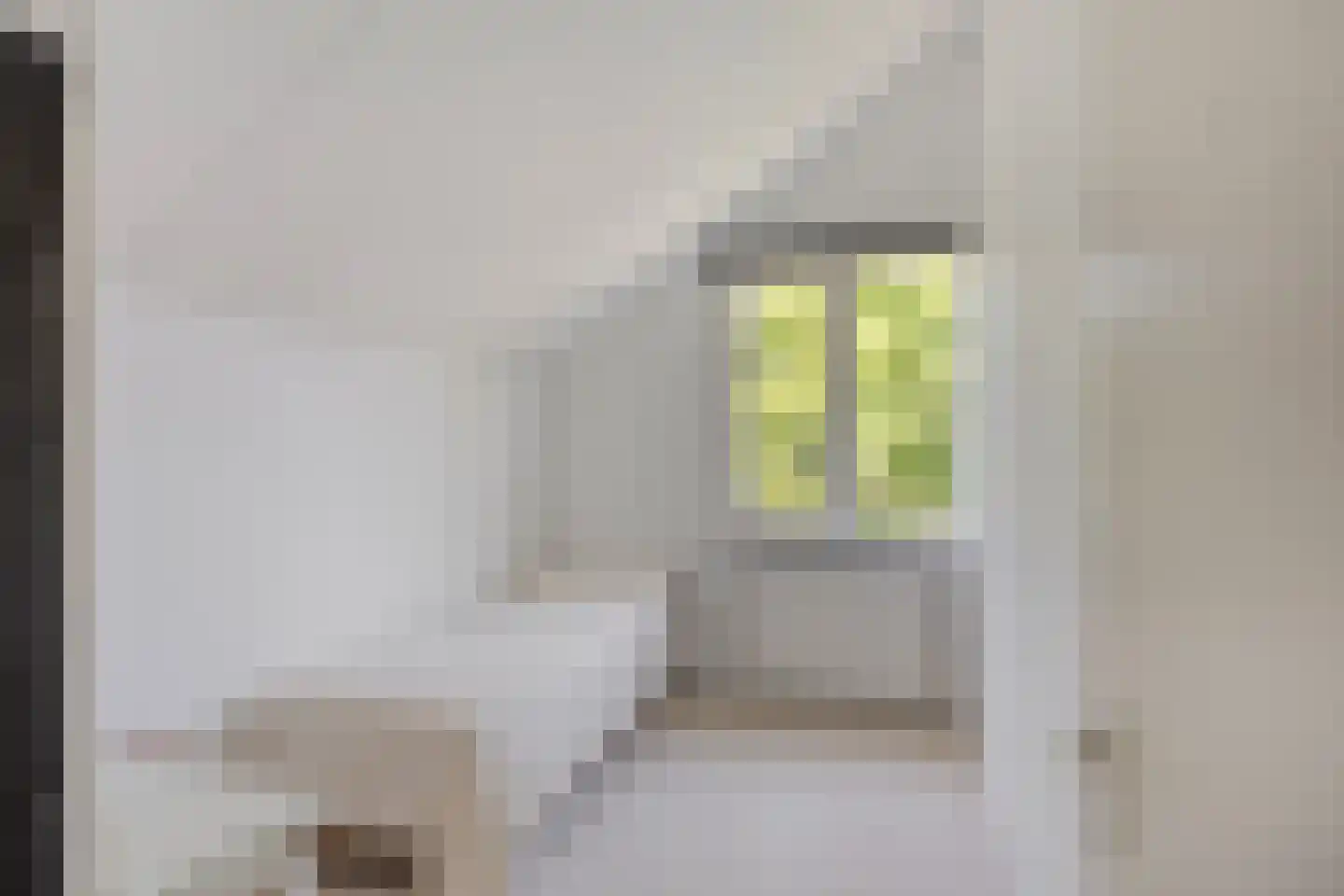 Bachplaats 15 Bergschenhoek thumbnail 25