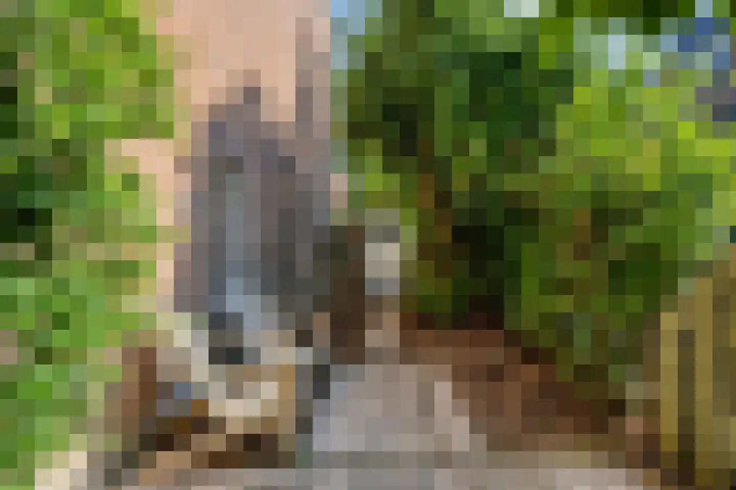 Bachplaats 15 Bergschenhoek thumbnail 28