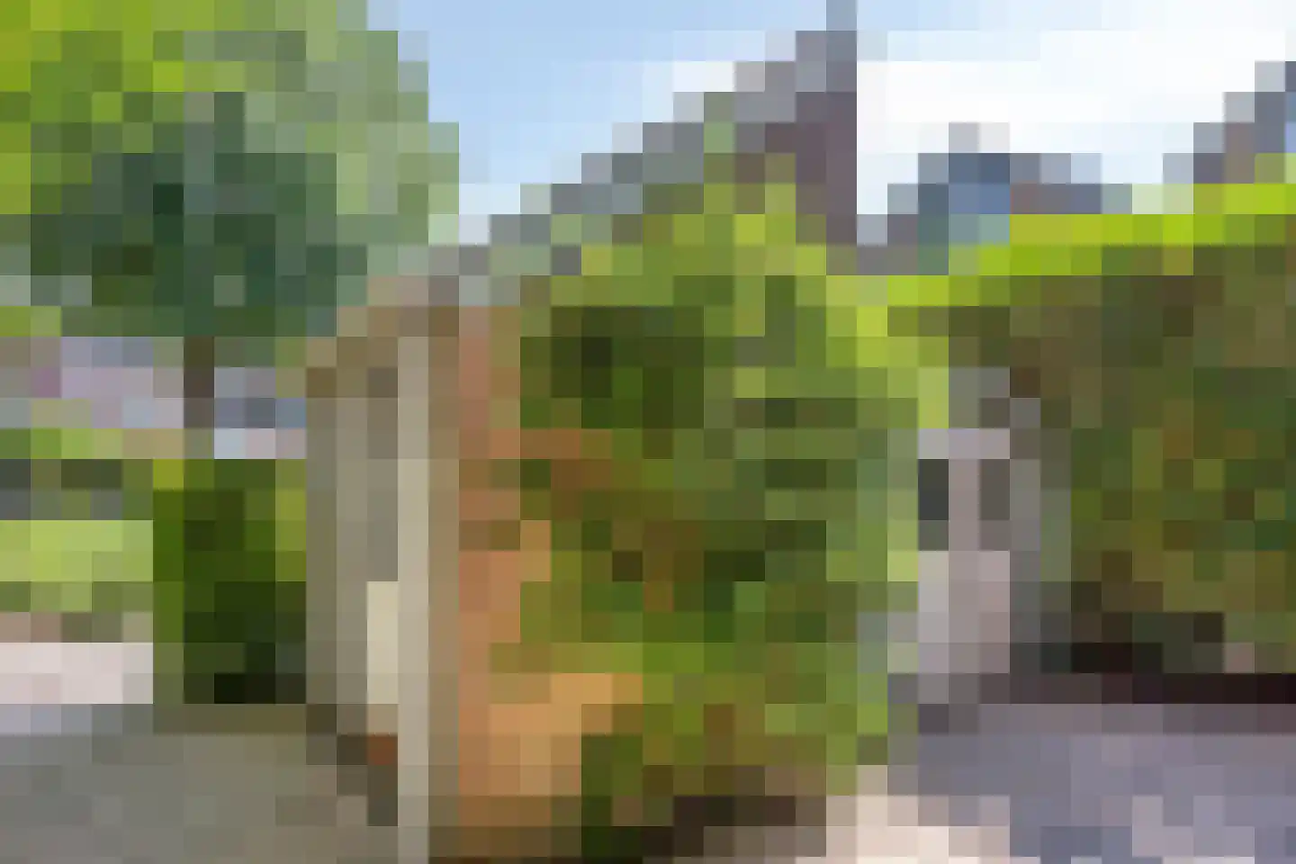 Bachplaats 15 Bergschenhoek thumbnail 29