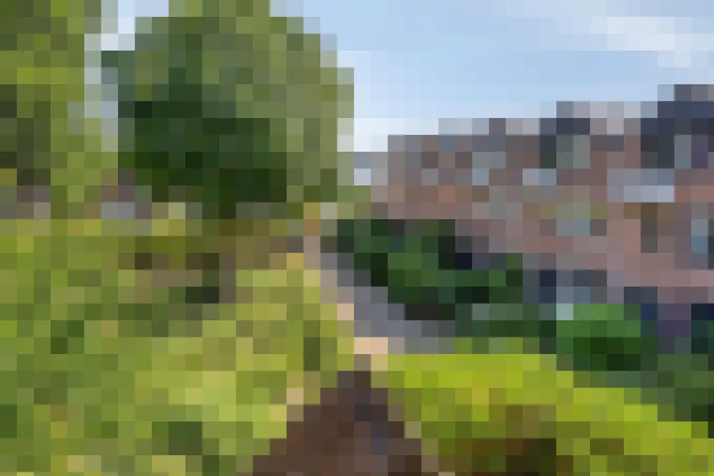 Bachplaats 15 Bergschenhoek thumbnail 31