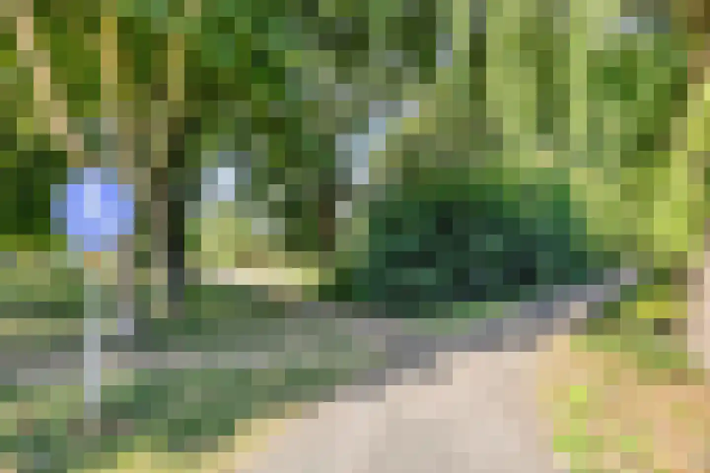Bachplaats 15 Bergschenhoek thumbnail 34