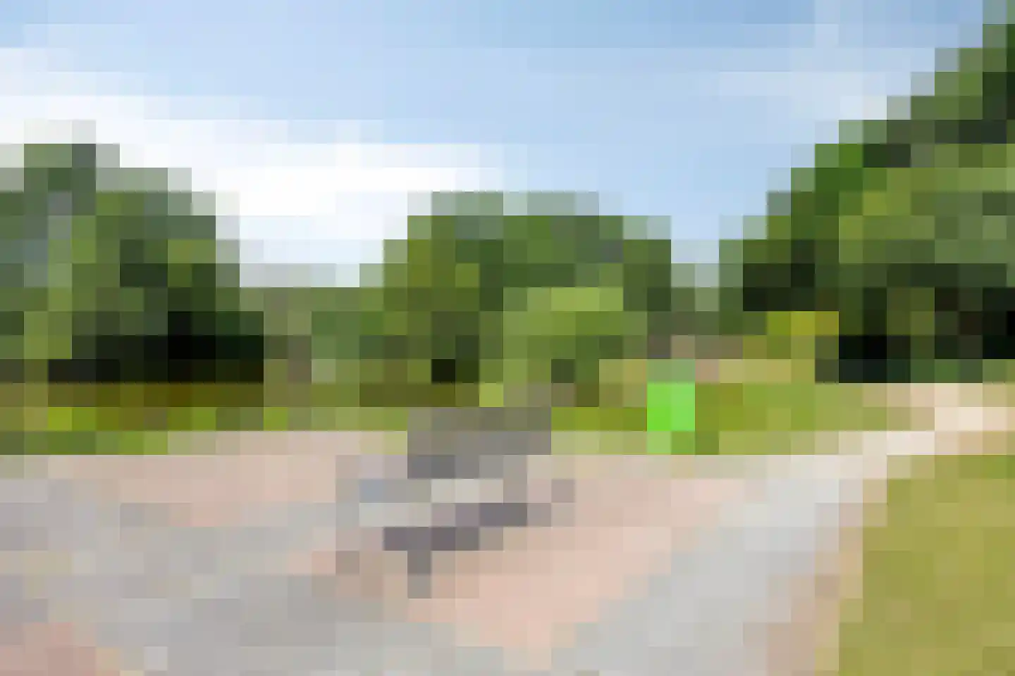 Bachplaats 15 Bergschenhoek thumbnail 35