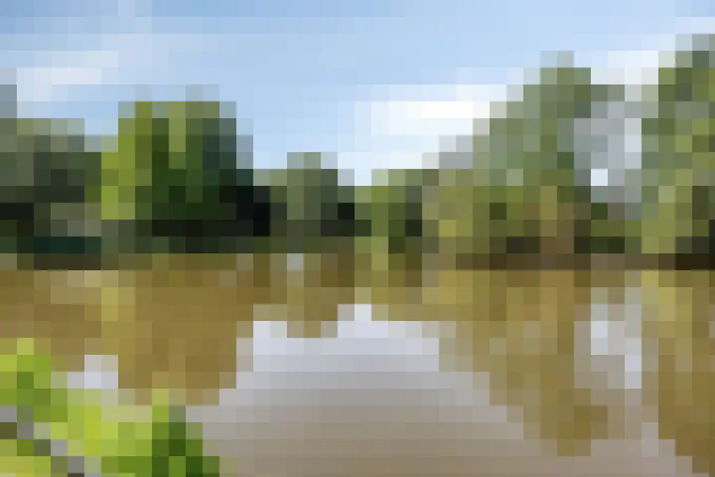 Bachplaats 15 Bergschenhoek thumbnail 36