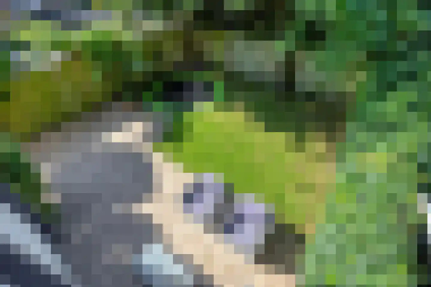 Bachplaats 15 Bergschenhoek thumbnail 5
