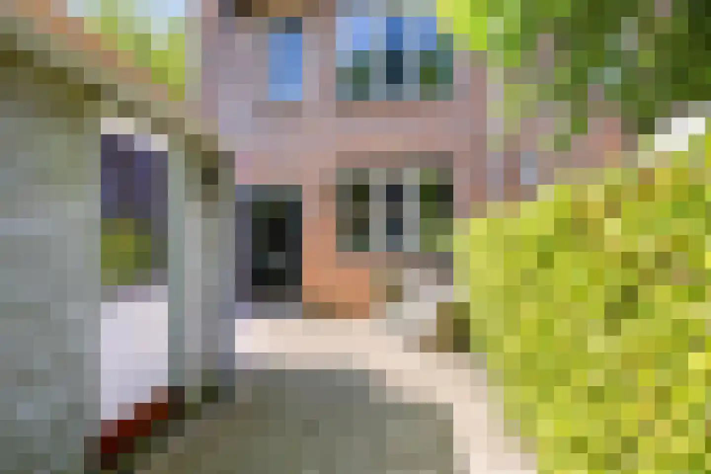 Bachplaats 15 Bergschenhoek thumbnail 7