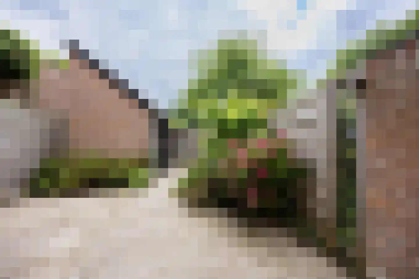 Bachplaats 19 Bergschenhoek thumbnail 15