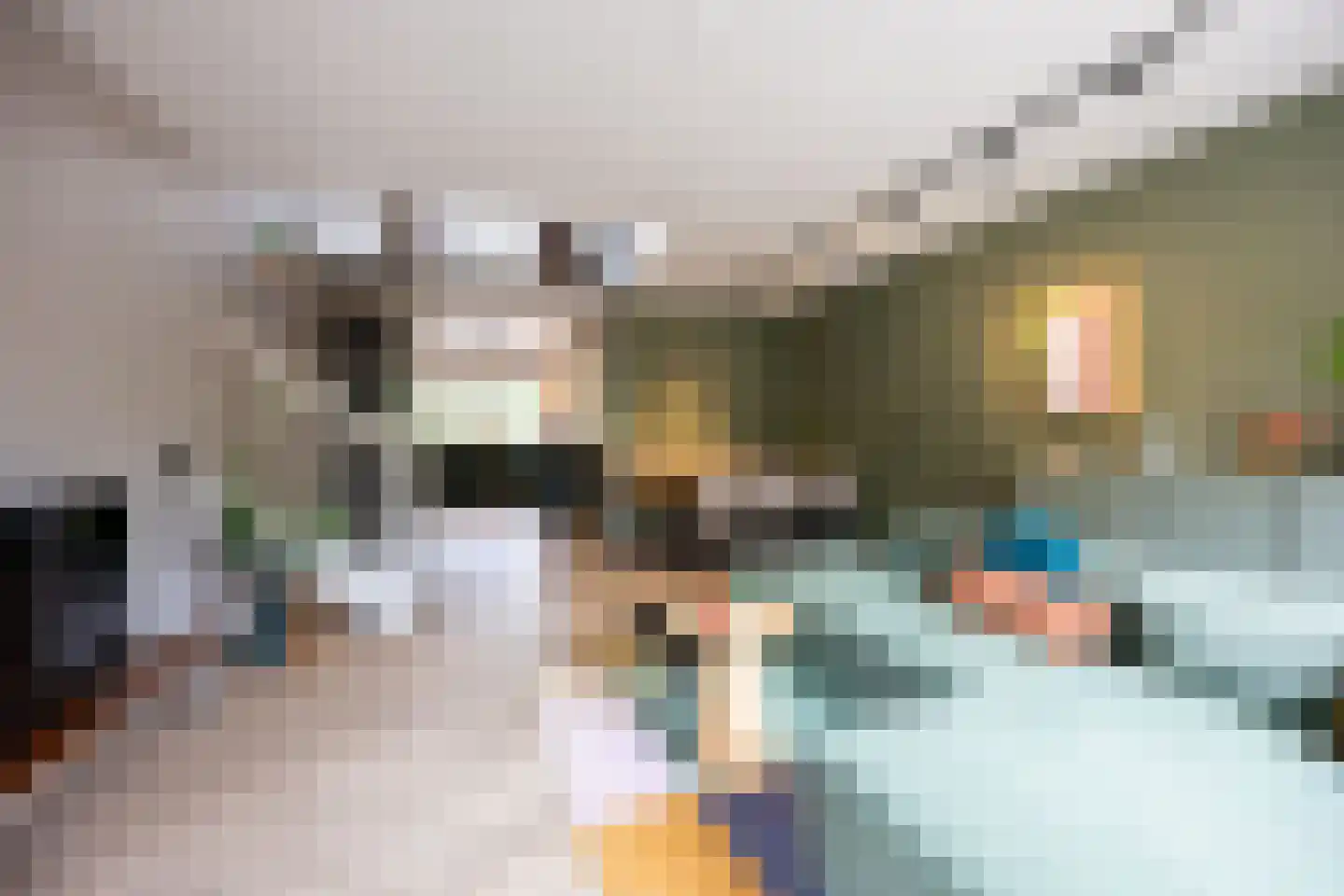 Bachplaats 19 Bergschenhoek thumbnail 19