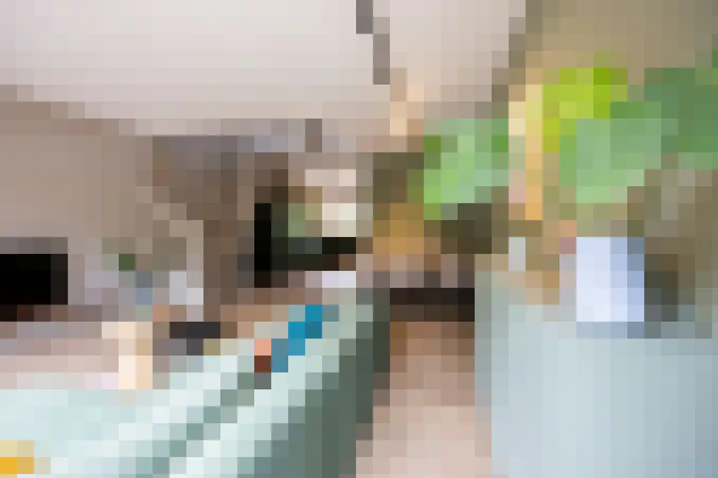 Bachplaats 19 Bergschenhoek thumbnail 20