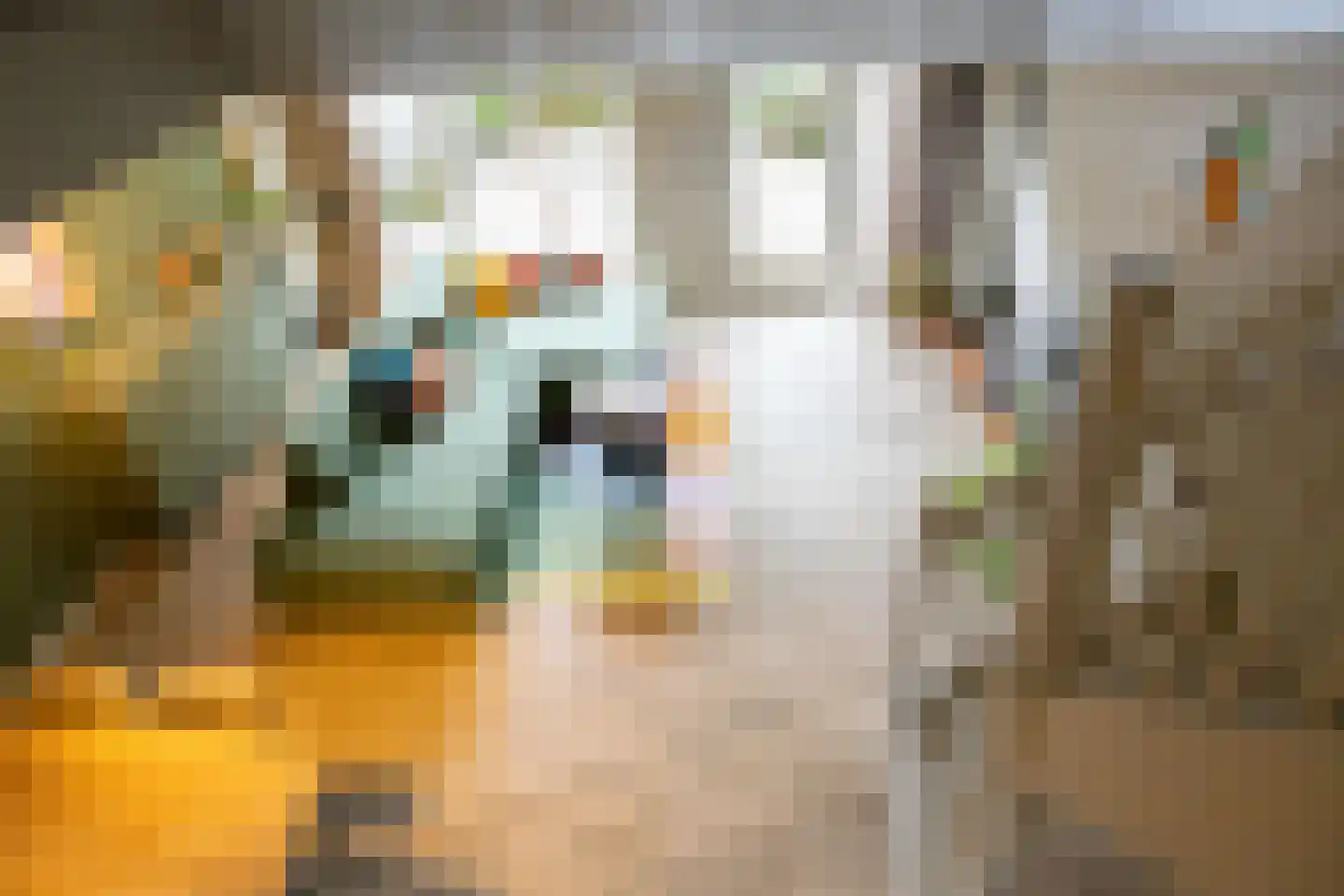 Bachplaats 19 Bergschenhoek thumbnail 25