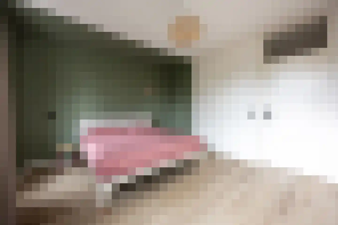 Bachplaats 19 Bergschenhoek thumbnail 30