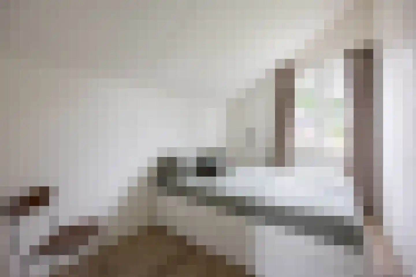 Bachplaats 19 Bergschenhoek thumbnail 33