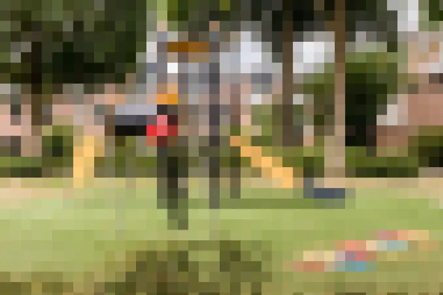 Bachplaats 19 Bergschenhoek thumbnail 45