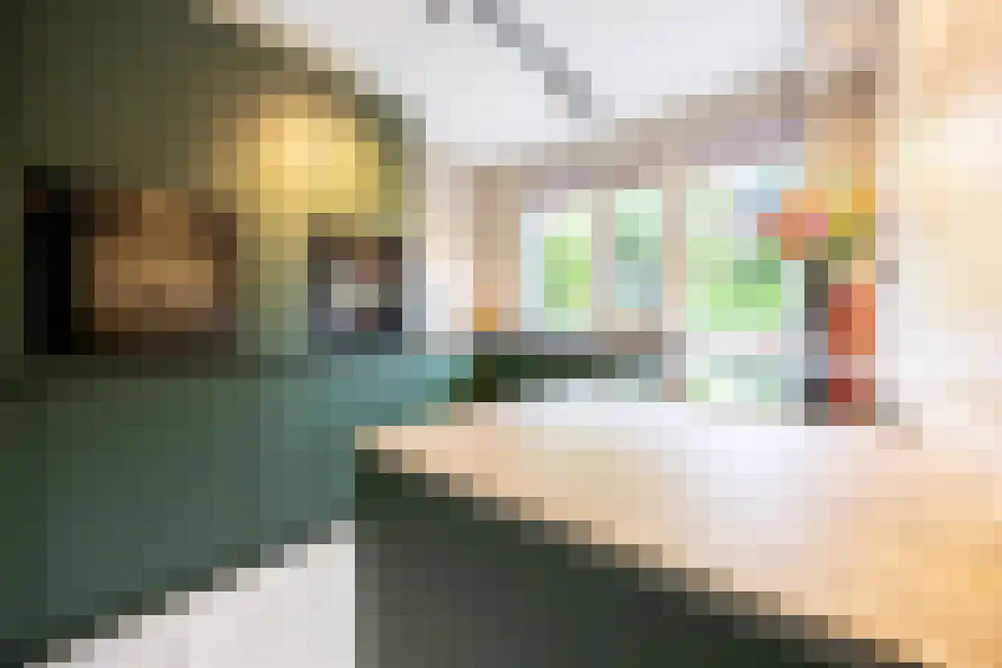 Bachplaats 19 Bergschenhoek thumbnail 8