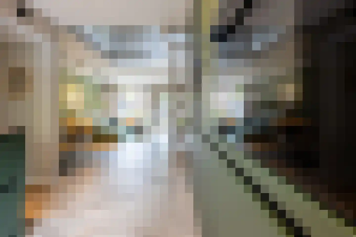 Bachplaats 19 Bergschenhoek thumbnail 9