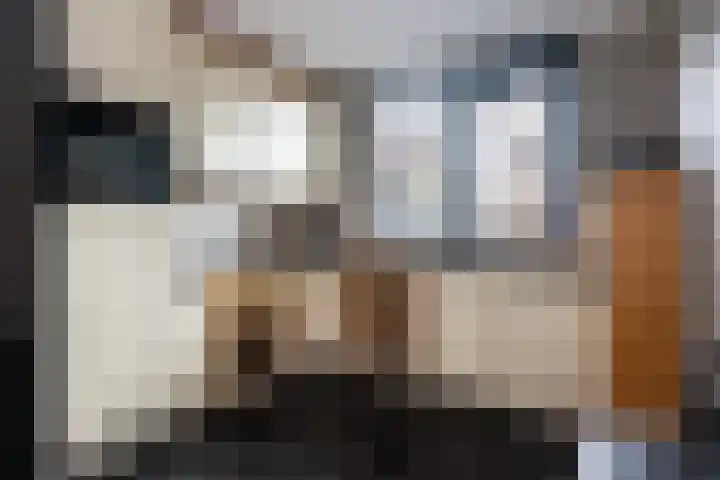 Bachplantsoen 3 Dirksland thumbnail 13